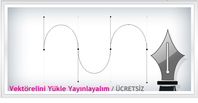 Vektörünüzü Gönderin Yayınlayalım