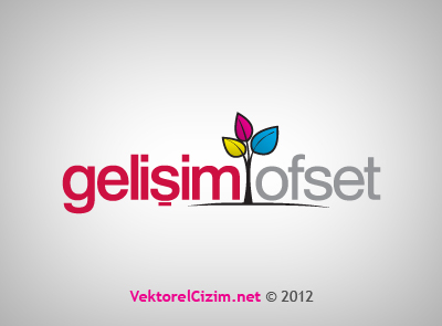 Gelişim Ofset