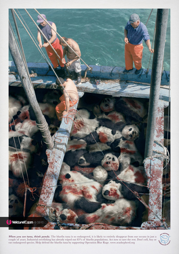 saving-the-endangered