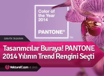 2014 Yılının Trend Rengi Belli Oldu
