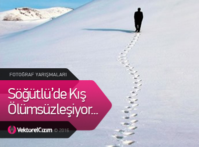 Söğütlü'den Ödüllü Fotoğraf Yarışması