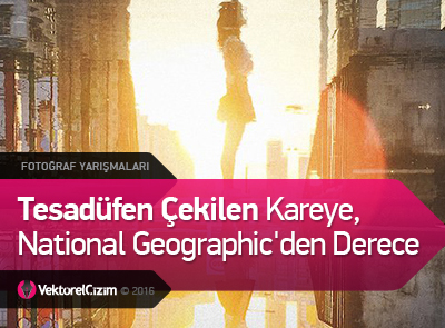 Tesadüfen Çekilen Kareye, National Geographic'in Yarışmasında Derece